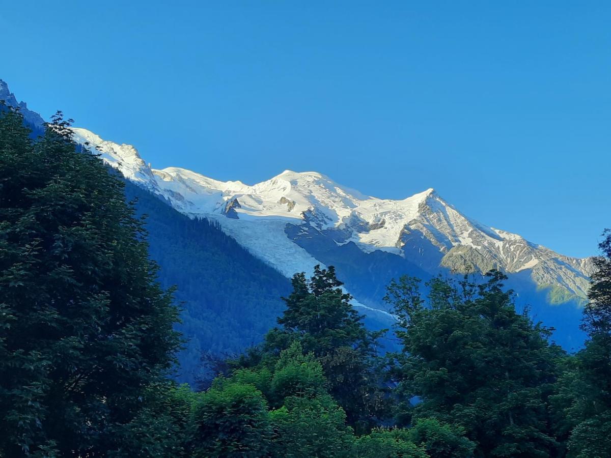 Le Yama Daire Chamonix Dış mekan fotoğraf